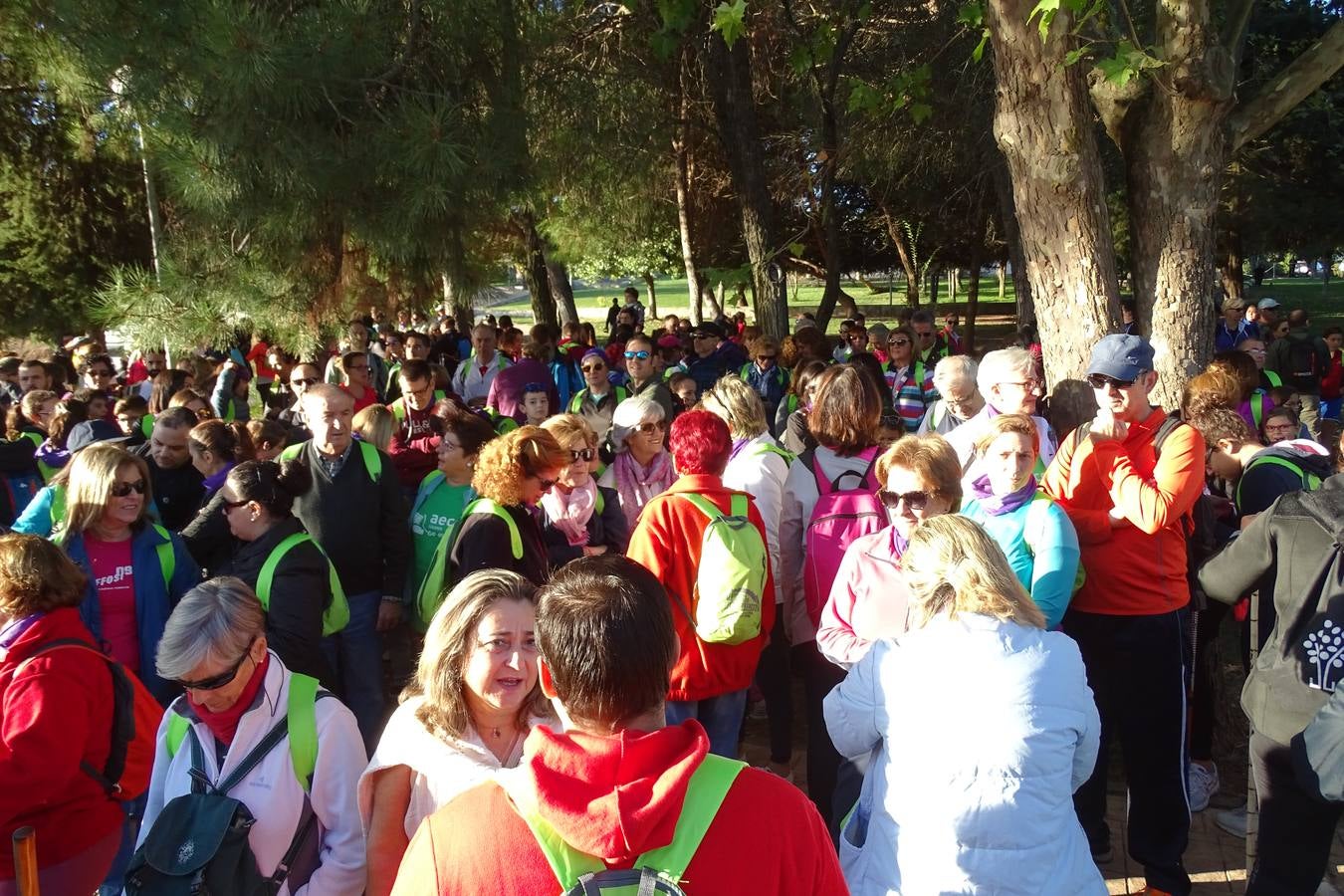 Más de 3.000 personas ayudan a luchar contra el cáncer con La Vereína