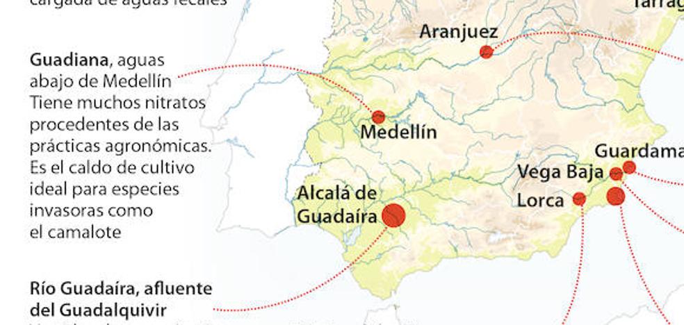 La contaminación silenciosa: cuatro de cada diez ríos en España suspenden en calidad de sus aguas