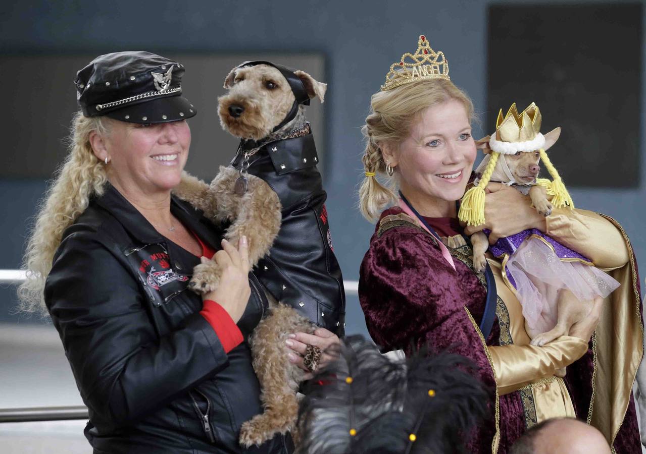 Tercer desfile anual de Halloween de Mascotas
