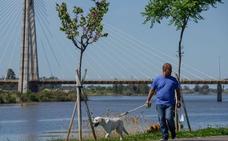 La obra del parque canino junto al río se hará en un mes y estará lista antes de que acabe el año