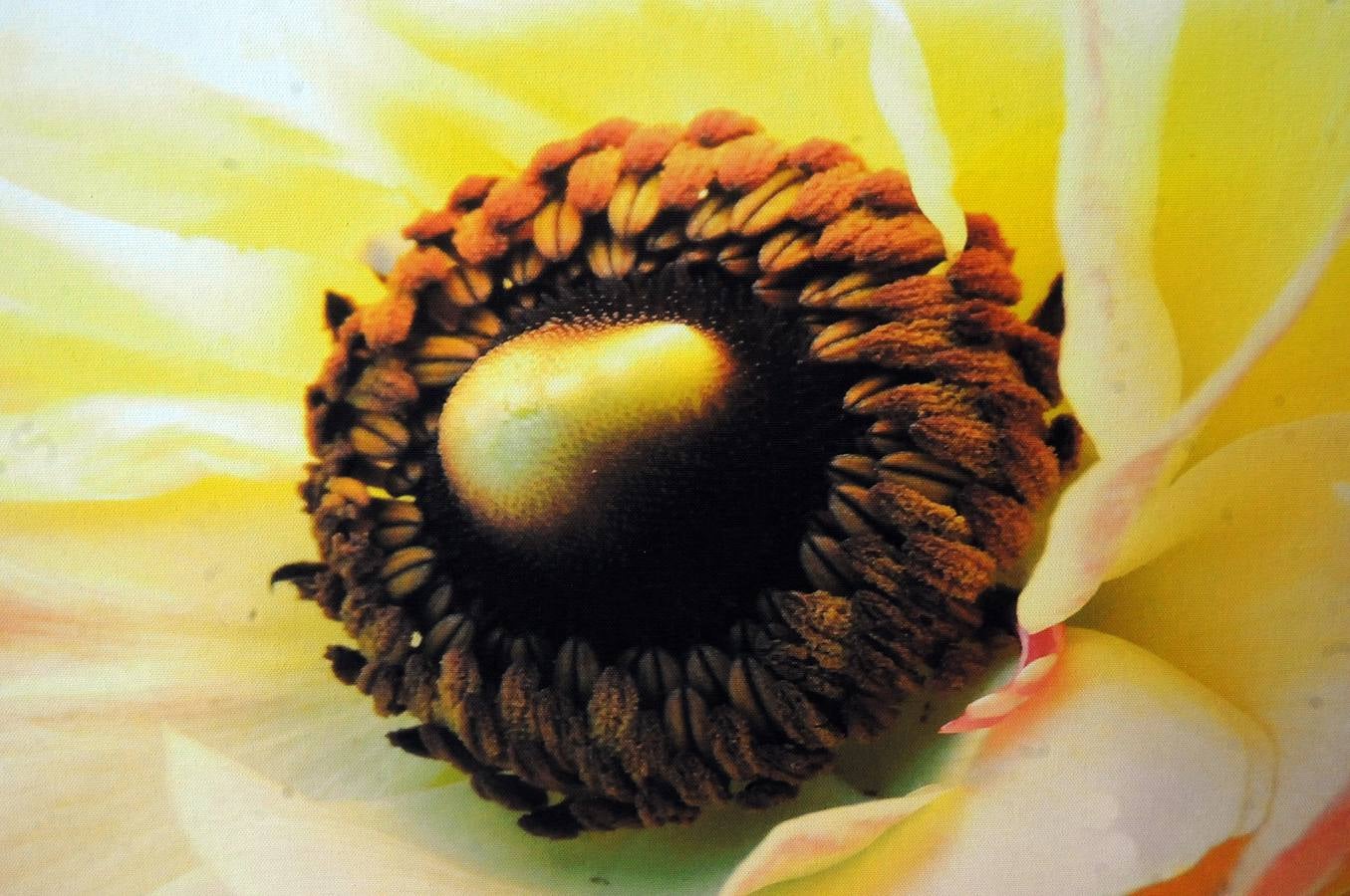 'Expression of Hope'