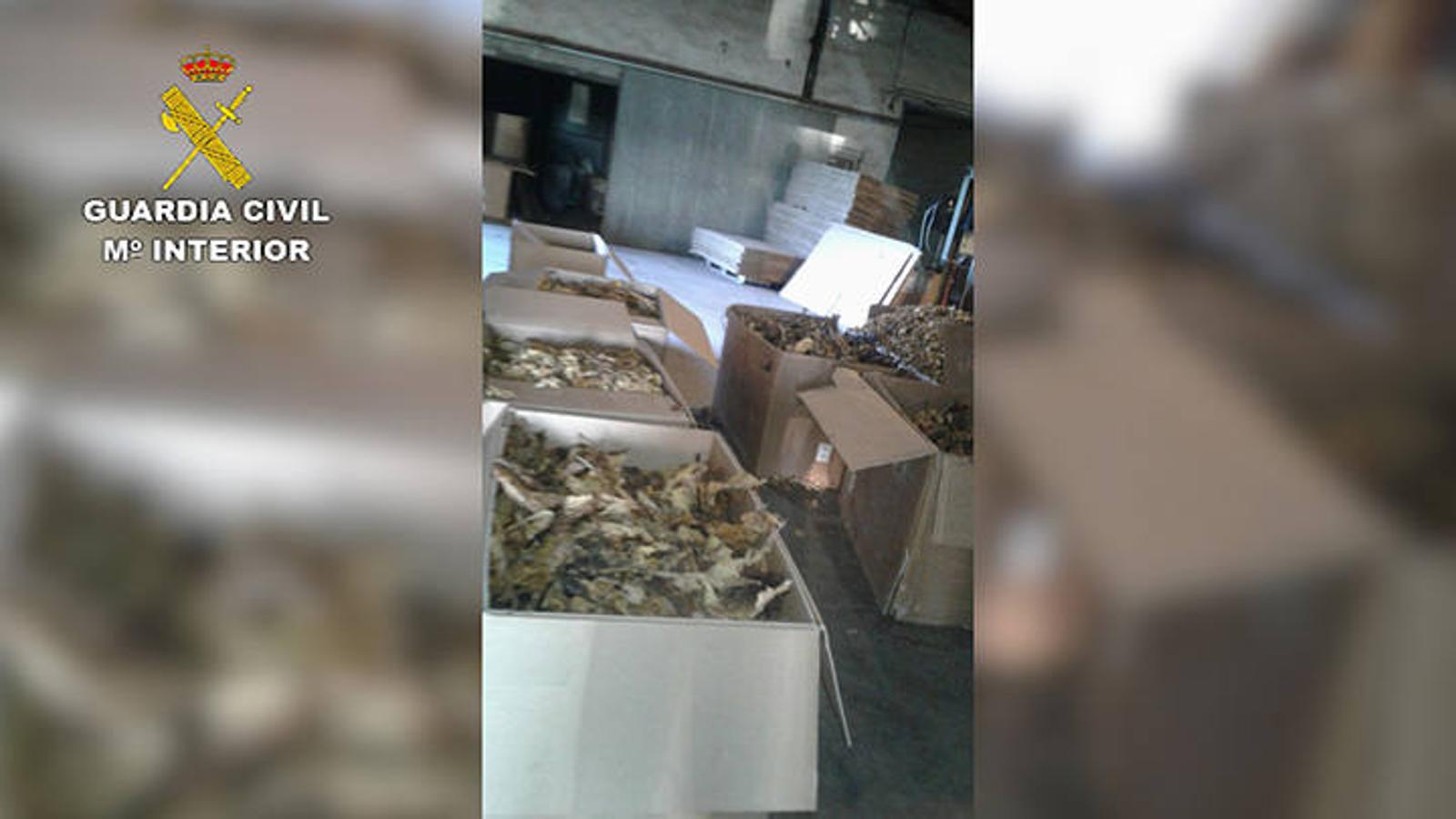 Incautación de 250 toneladas de tabaco