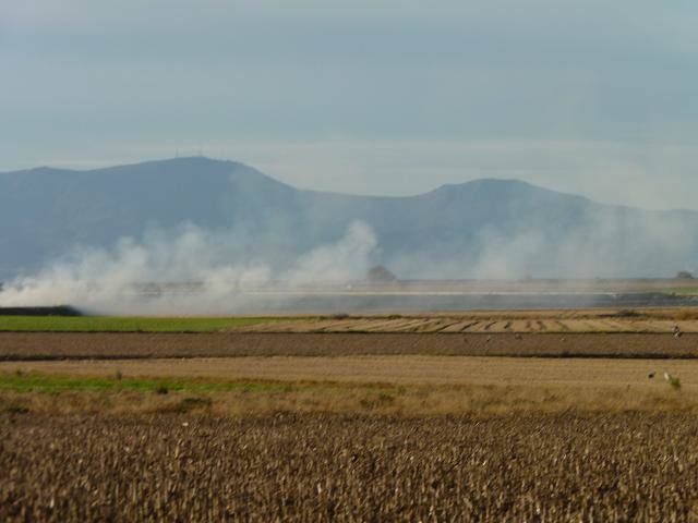 Quema masiva de rastrojos en Extremadura