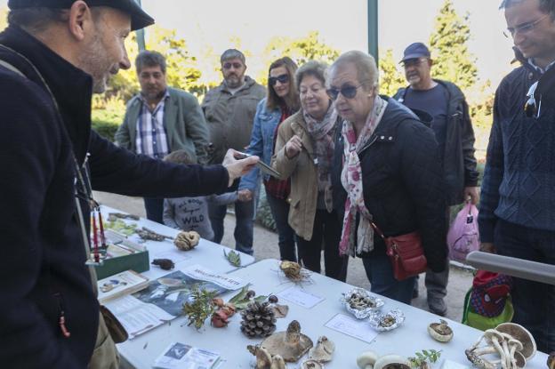 Día de pintura y setas en Cáceres