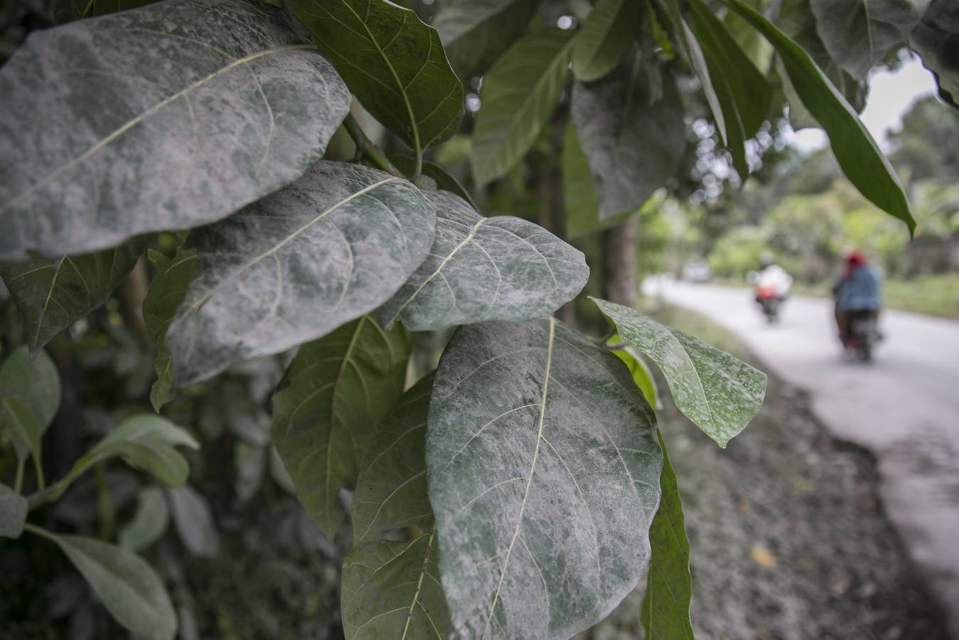 El volcán Monte Agung arroja ceniza en Bali