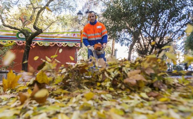 Cáceres trabaja en la retirada de un millón de kilos de hojas