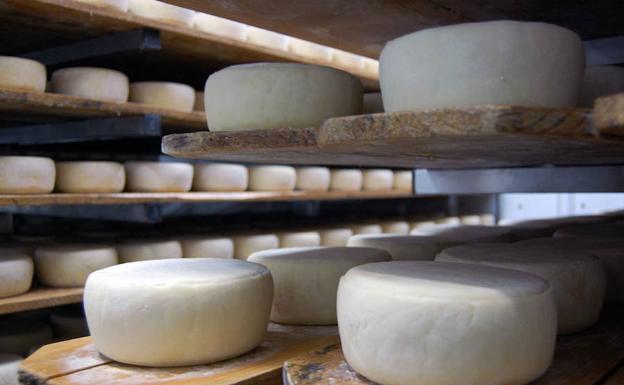 El queso de La Serena no se podrá llamar torta