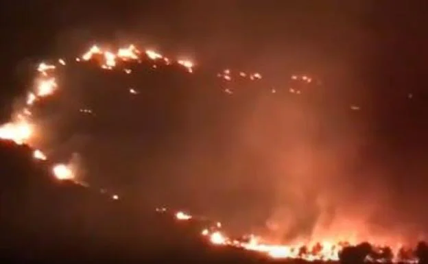 Un incendio forestal en Mallorca obliga a desalojar 60 viviendas