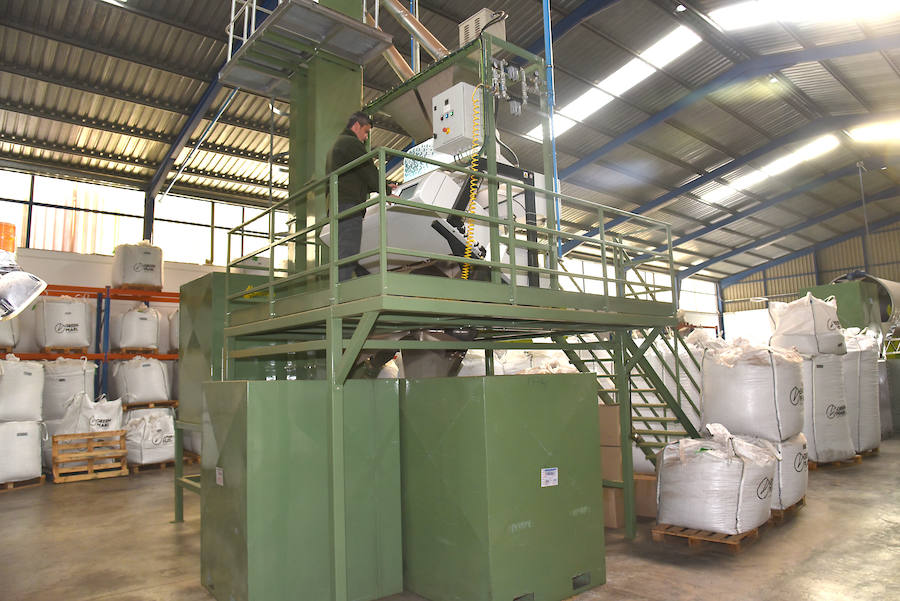 Aumenta la producción de pistacho en Extremadura