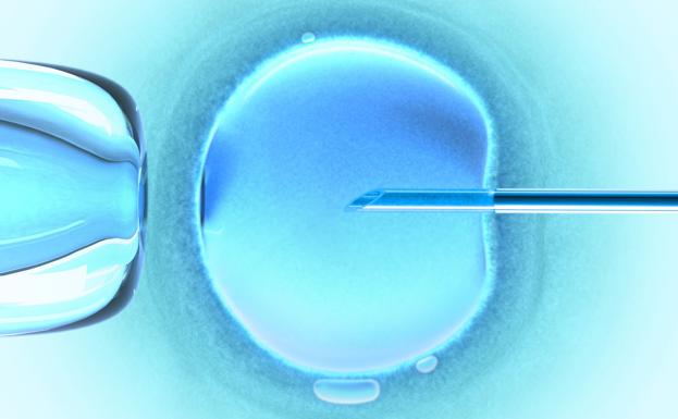 Los embriones congelados, igual de eficaces para la fecundación in vitro que los frescos