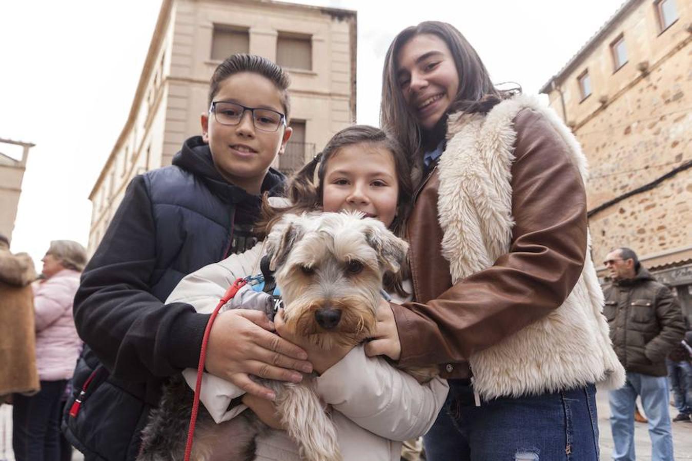 Bendición de animales en Cáceres