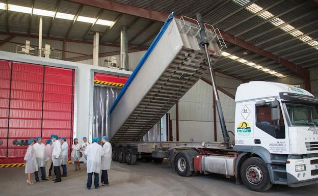 Instalaciones de la planta de Arrocerías Pons en Don Benito./HOY