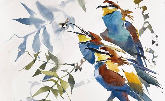 El abejaruco, protagonista del cartel de la Feria Internacional de Turismo Ornitológico de 2018