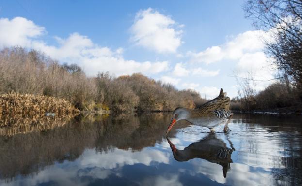 Las mejores imágenes de FIO 2018