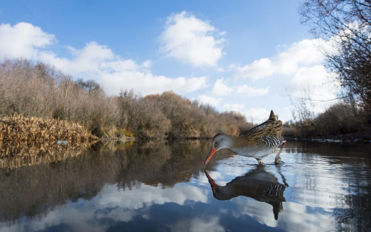 Imágenes ganadoras del concurso fotográfico de FIO 2018