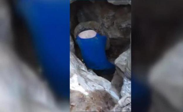 Un rescate de 72 horas para un perro