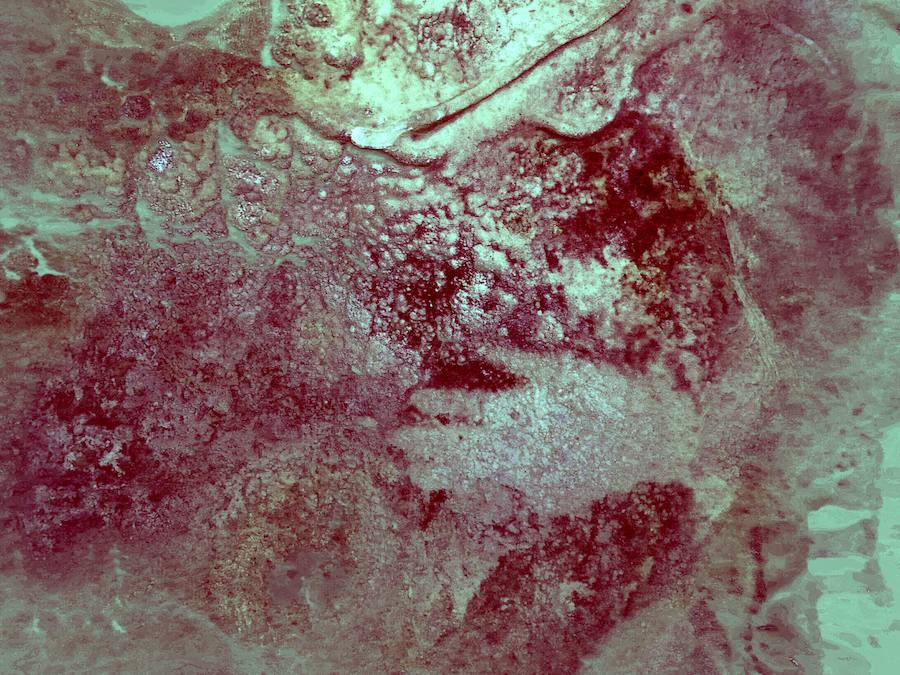 Las pinturas neardentales de la cueva de Maltravieso
