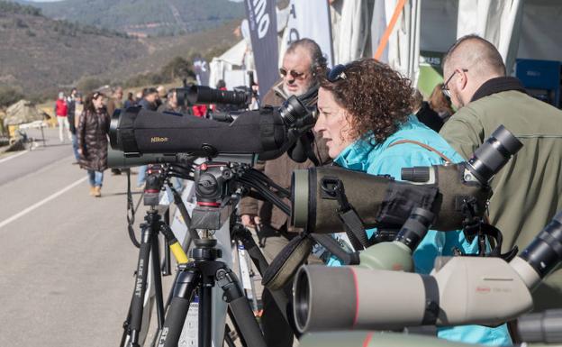 Una mañana entre pájaros