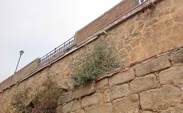 Alertan del riesgo de desprendimientos en el Puente de Palmas de Badajoz