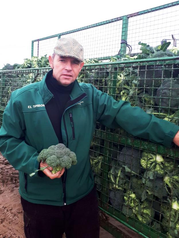 «El brócoli es rentable como segundo cultivo»