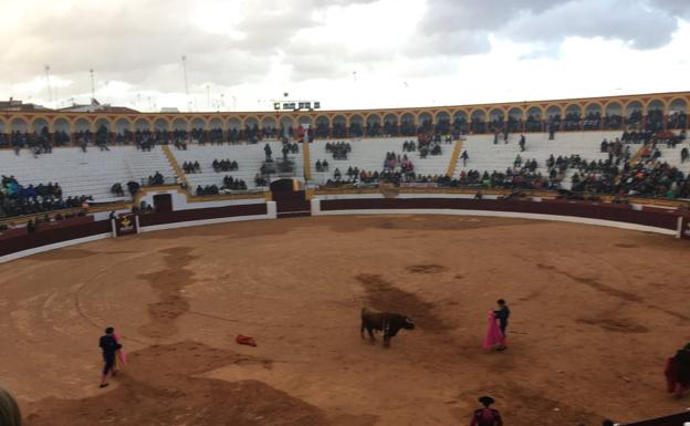 Así hemos narrado la novillada con picadores en la feria taurina de Olivenza