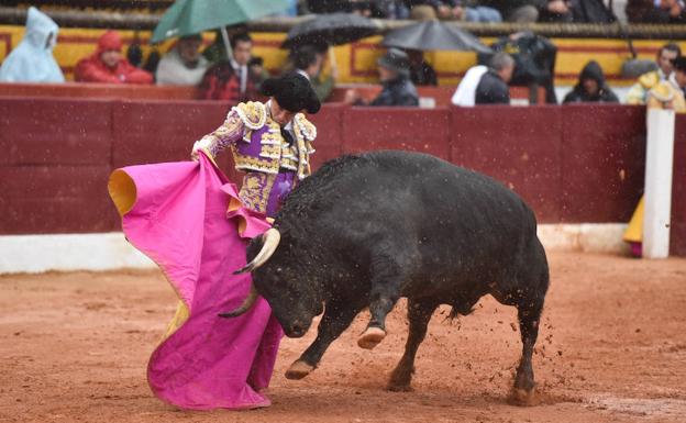 Padilla sale a hombros en Olivenza, pero Garrido hace lo importante