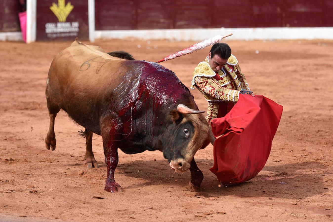Los espectáculos taurinos de este domingo en la Feria de Olivenza, en imágenes