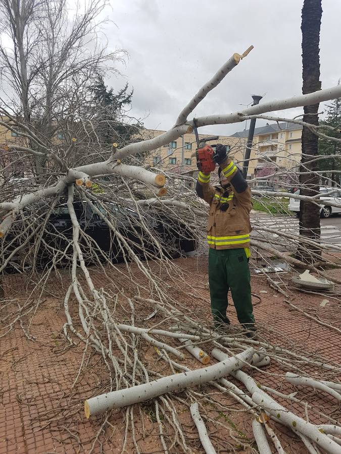 Efectos del fuerte viento en Badajoz