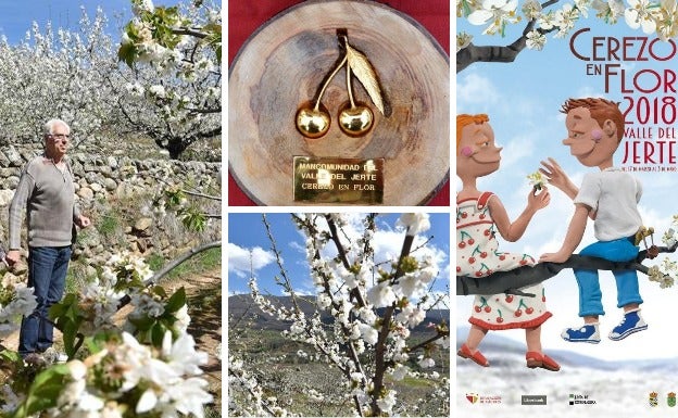 Cerezos en flor, torrijas y queso de cabra: Color y sabor para la llegada de la primavera