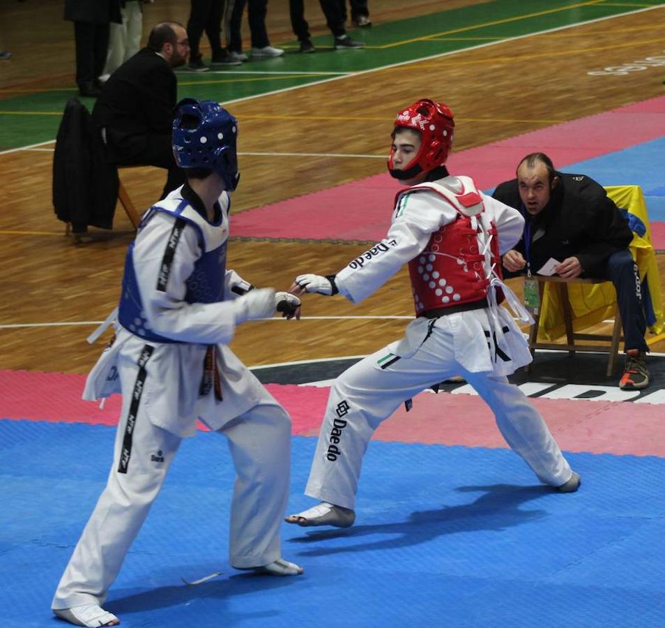 V OPEN INTERNACIONAL CIUDAD DE PLASENCIA