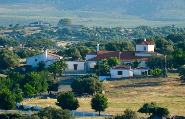 Una encina en Ceclavín
