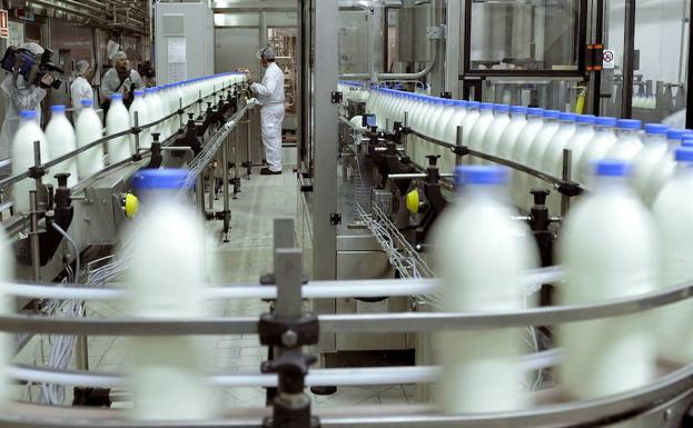 Un sector lácteo más organizado