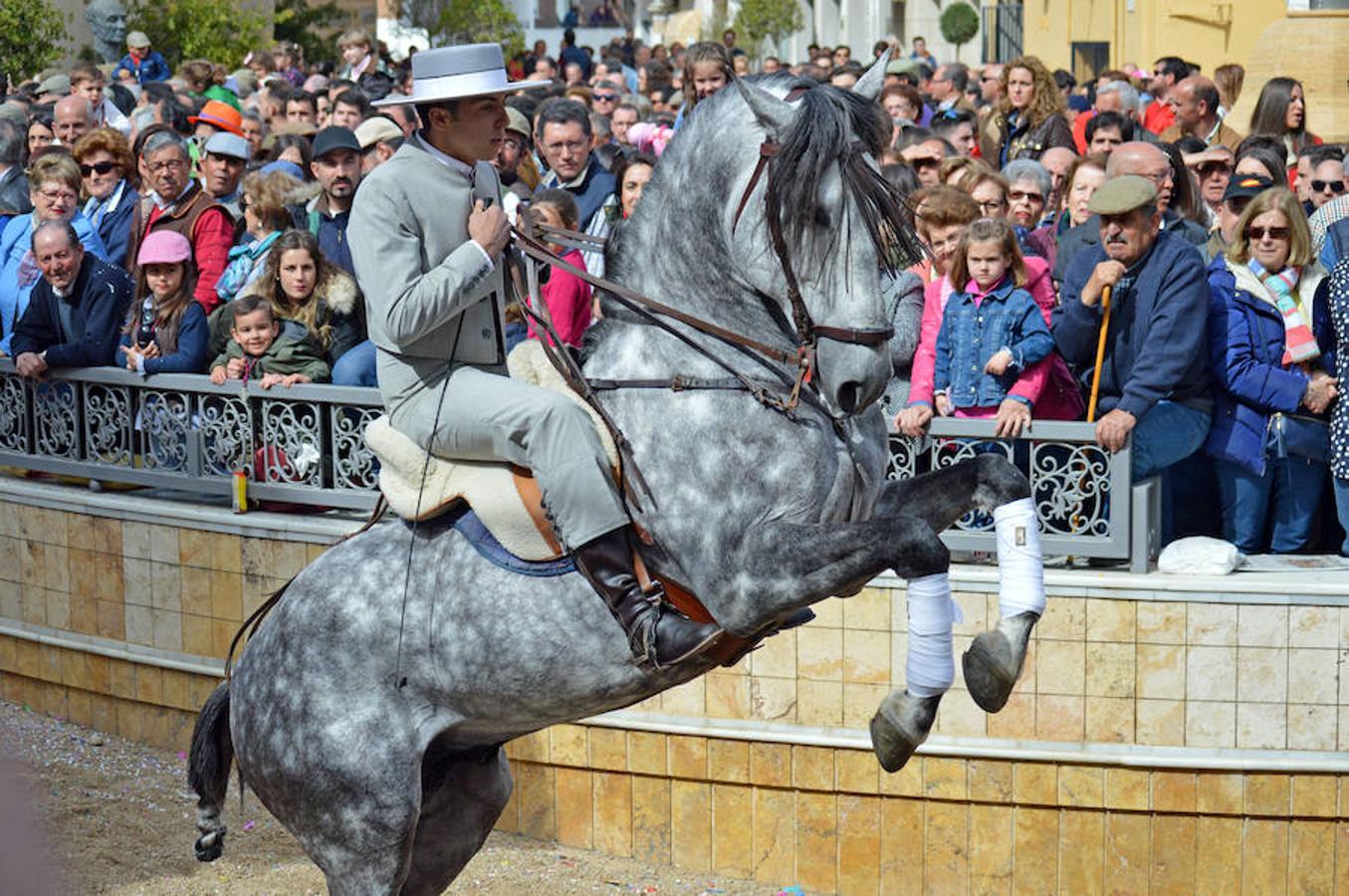 Elegancia y belleza de caballerías y carretas