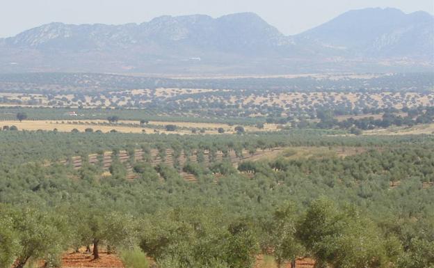 Monterrubio celebra la Feria Agroliva el 14 de abril