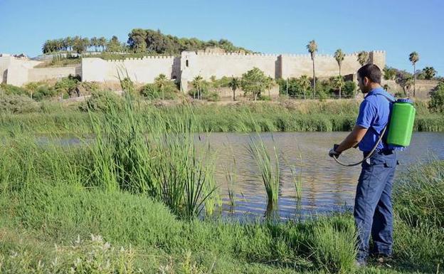 Menos venta de fertilizantes en Extremadura