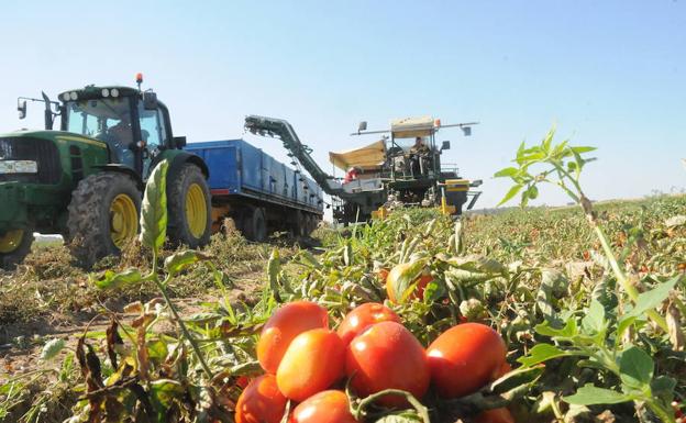 La UE propone un tope de 60.000 euros de ayudas por explotación en la nueva PAC