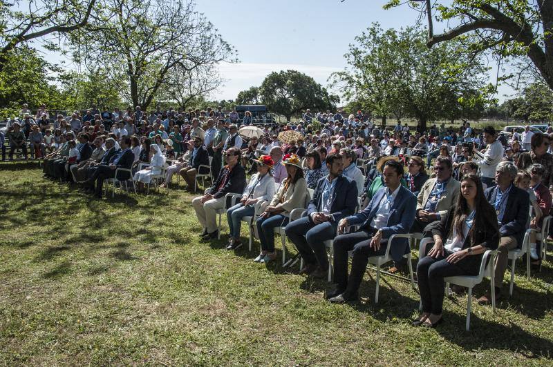 Romería de Bótoa