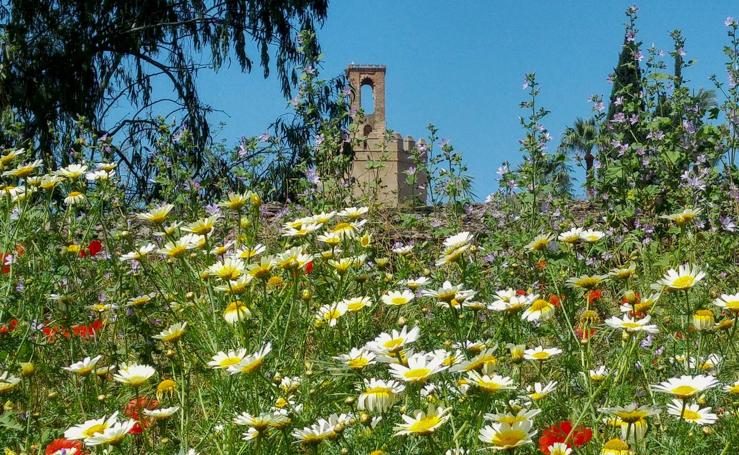 La primavera en Extremadura