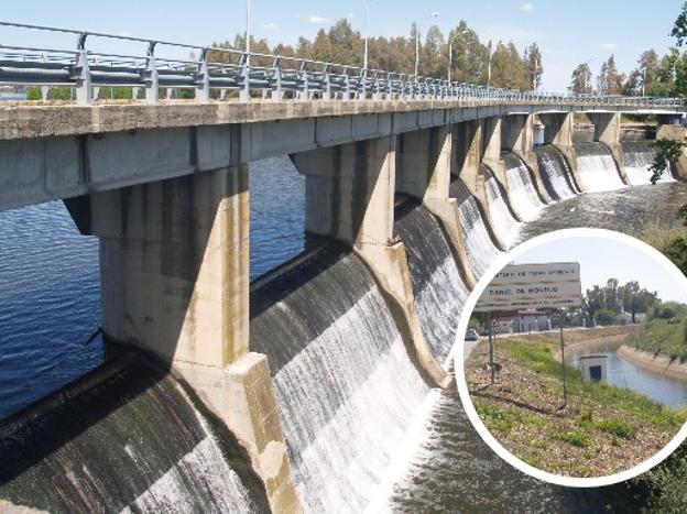 La presa de Montijo queda libre de camalote para la campaña de riego