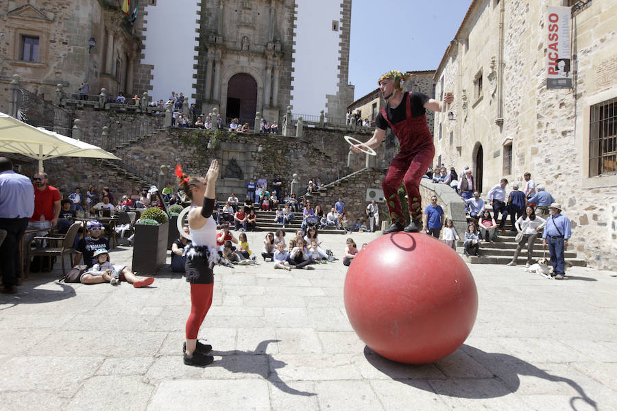 Festival de las Aves de Cáceres
