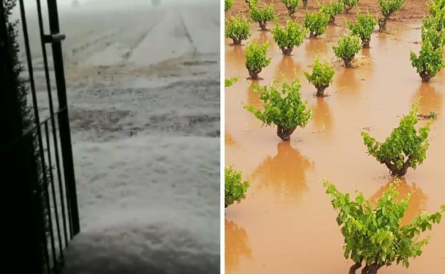 La Junta valora 'in situ' los daños de las tormentas en explotaciones agrarias