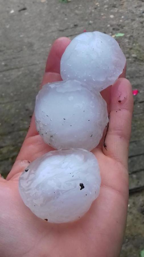 El granizo vuelve a castigar el campo extremeño