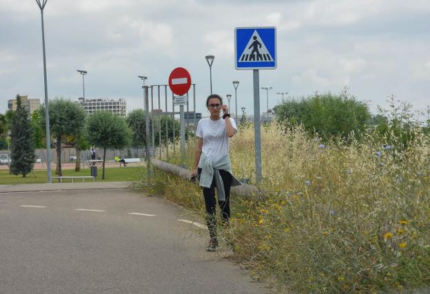 «Parece que el río acaba en el puente Real»