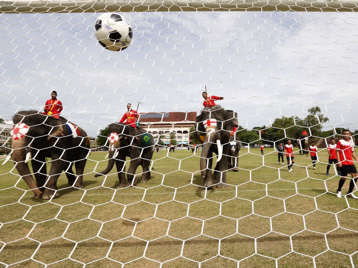 Partido de fútbol de elefantes para promover el Mundial de la FIFA 2018