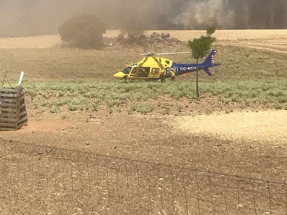 Imágenes del incendio forestal en Granja de Torrehermosa, paraje de La Cardenchosa