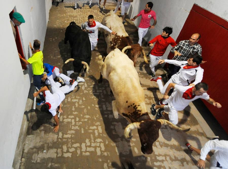 Un sexto encierro veloz y limpio, en imágenes