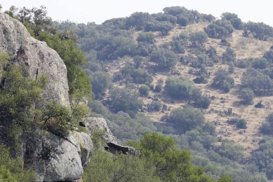 El Barco del Tajo zarpa hacia Monfragüe
