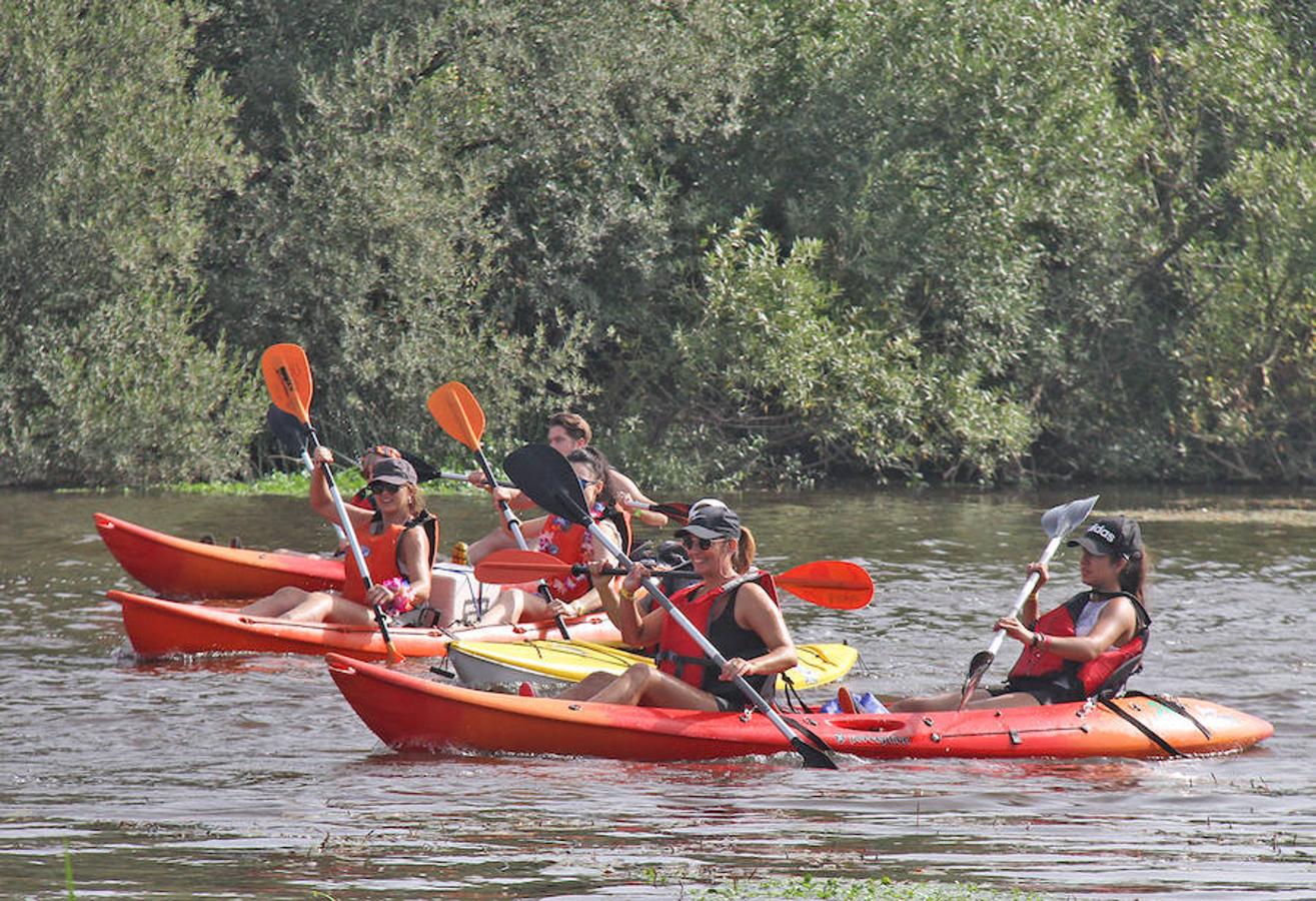 XI descenso del río Alagón