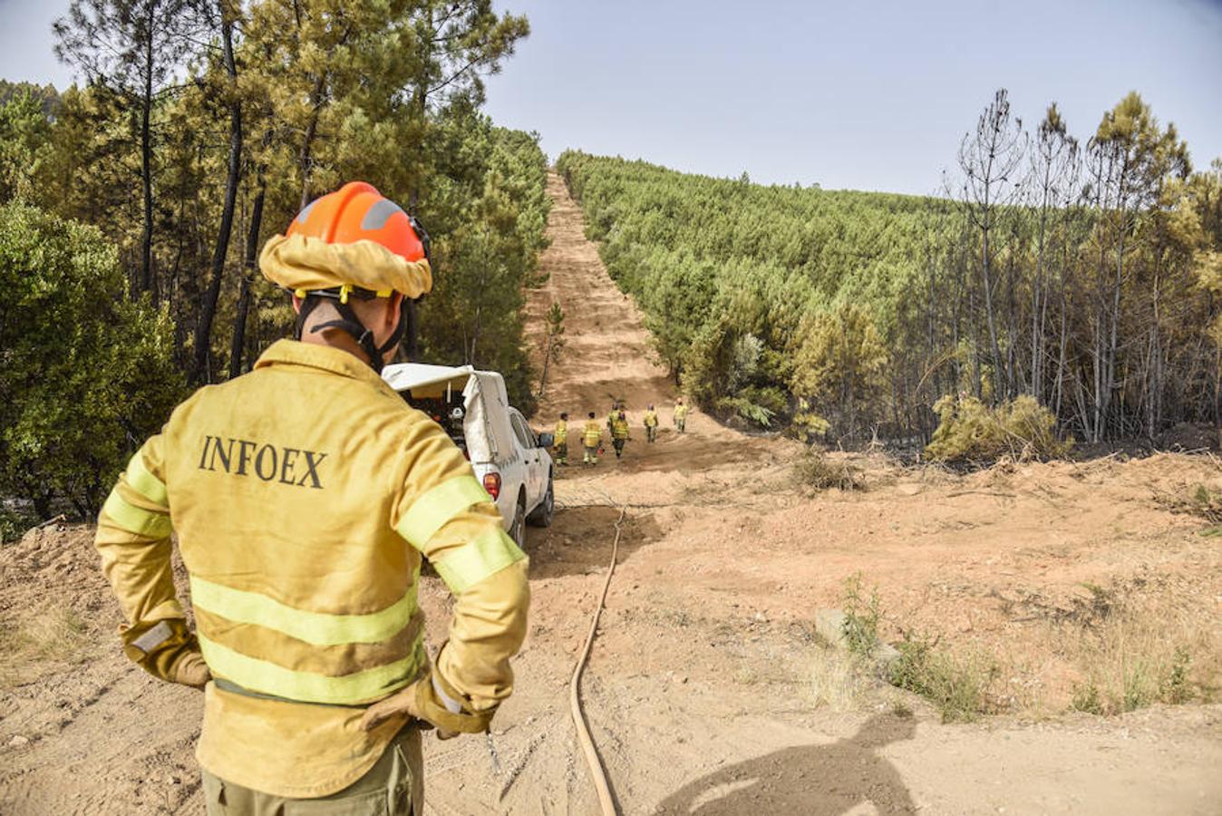 Incendio en San Vicente de Alcántara