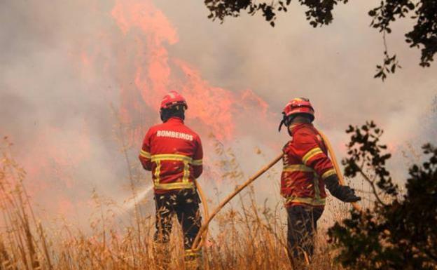 El centro de Granadilla acoge a nueve linces de Portugal para protegerlos de los incendios que asolan el Algarve